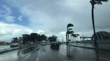 طقس السبت.. درجات الحرارة المتوقعة وتفاصيل هبوط الأجواء ليلا في المحافظات